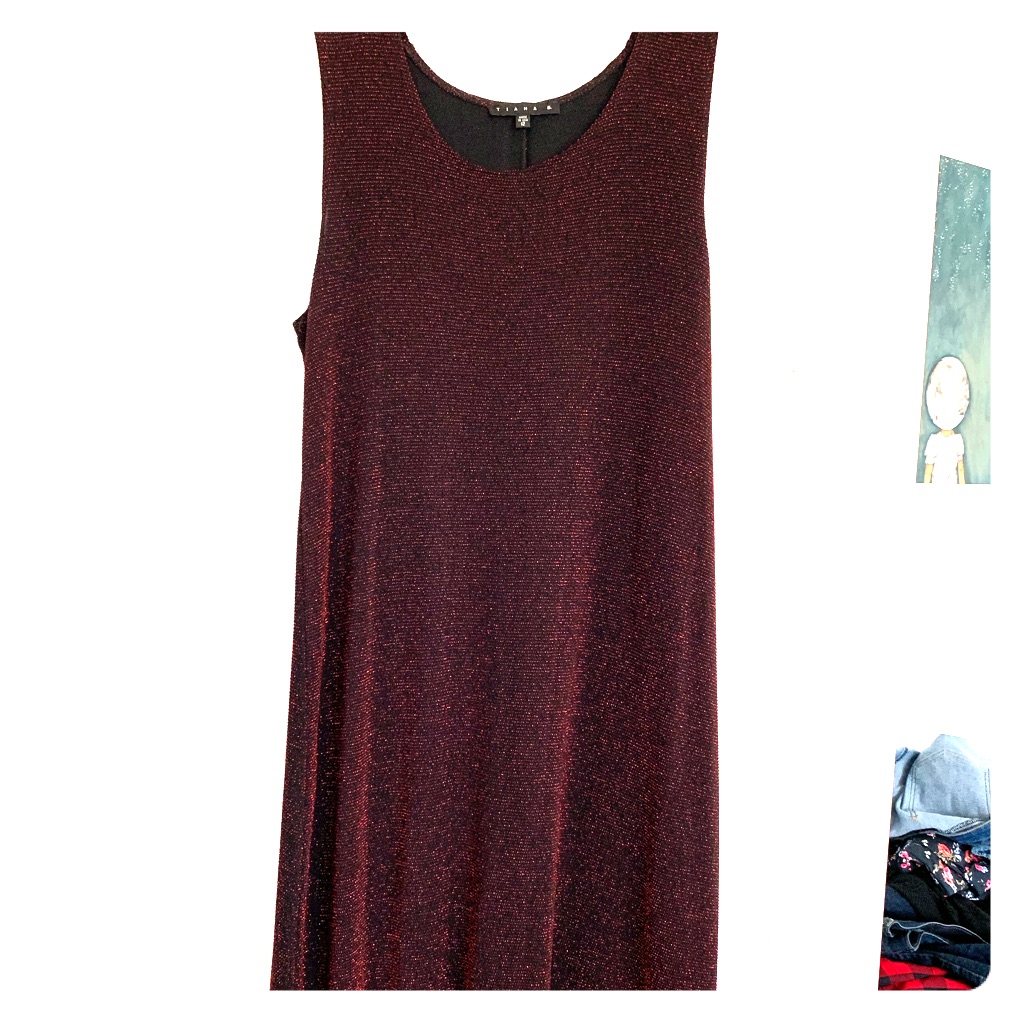 Shimmery Red And Black Dress